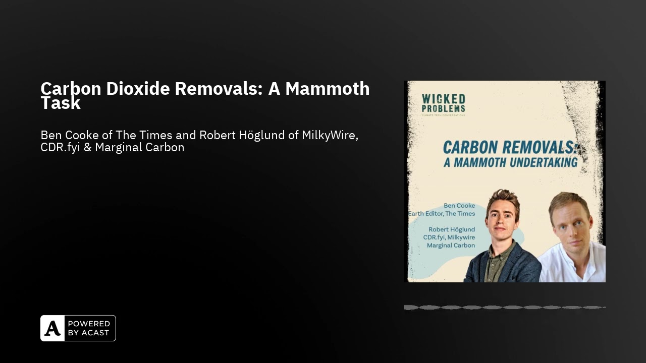 Carbon Dioxide Removals: A Mammoth Task