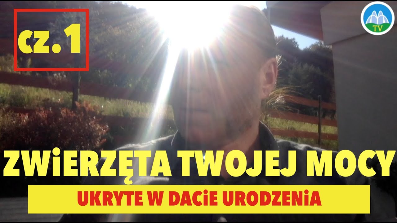 TW&Oacute;J KOD NARODZiN KRYJE ZWiERZĘCY TALiZMAN JAK ROZPOZNAĆ SWOJE ZWiERZĘTA MOCY ZDROJOWA TV KONKRETNiE