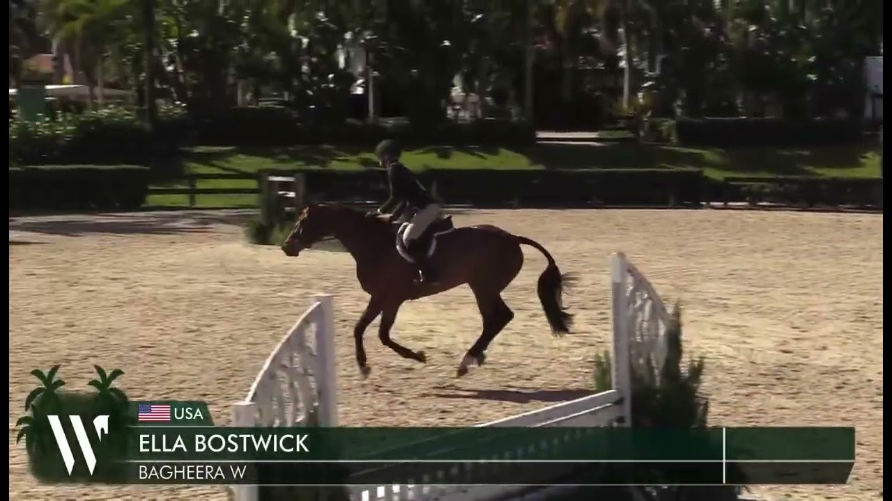 Bagheera W scoring an 85 in the Adult Hunters WEF 7 