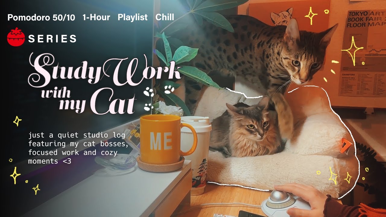 1-HOUR 🐾 Study with my Cat Supervisors 🖥️ | Cozy PC Work・Lo-Fi | Pomodoro 50/10