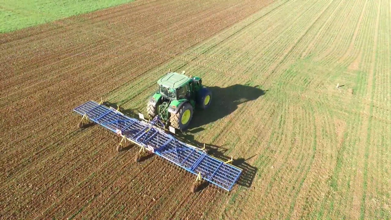 Passage de la herse étrille dans les blés bio. [Dji Phantom 3 4K].