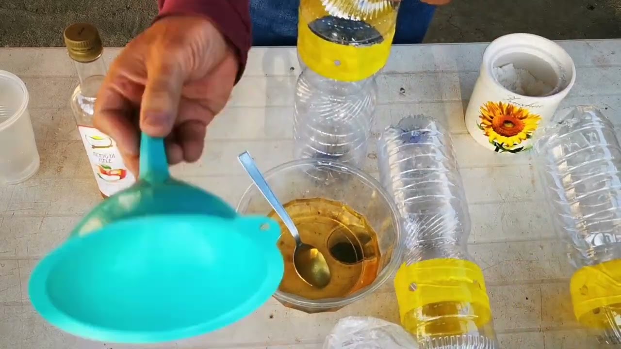 Mosca dell'olivo. Trappole fai da te e soluzioni attrattive.