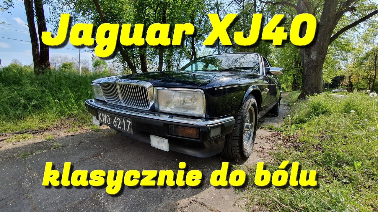 JAGUAR XJ40 - 100% kota w kocie