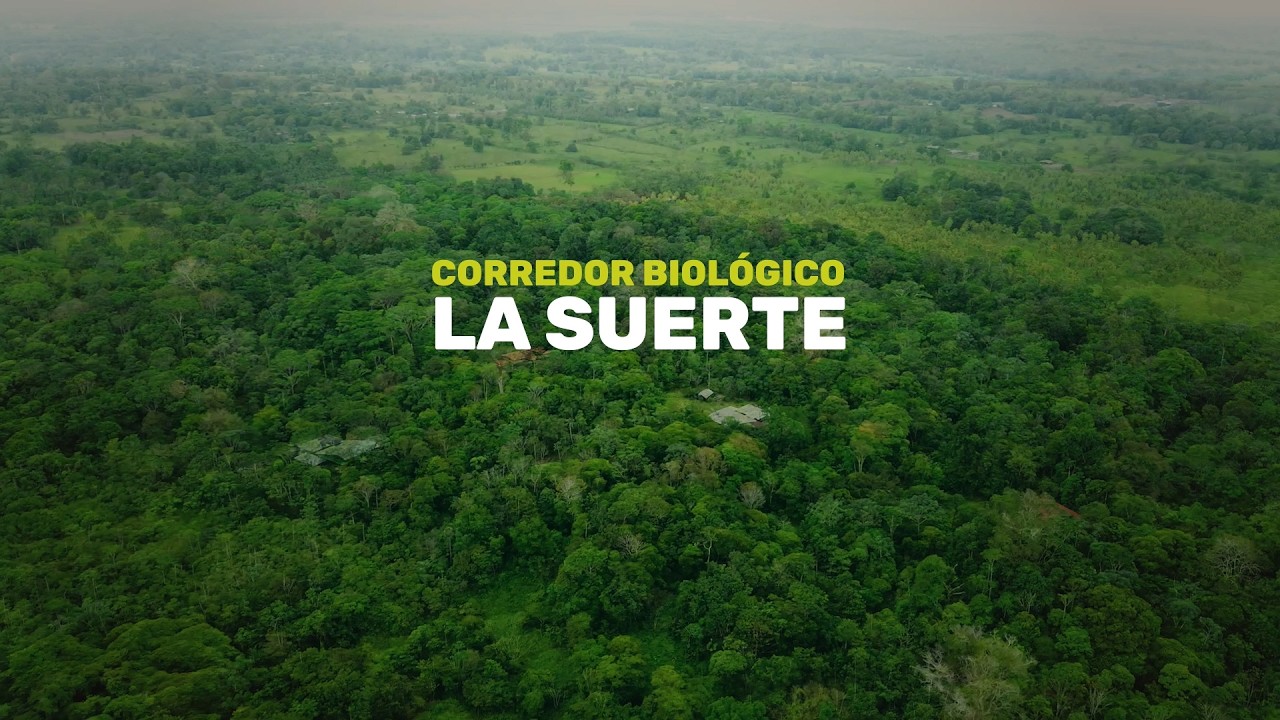 Estación Biológica La Suerte | Conservar, investigar y convivir con la naturaleza
