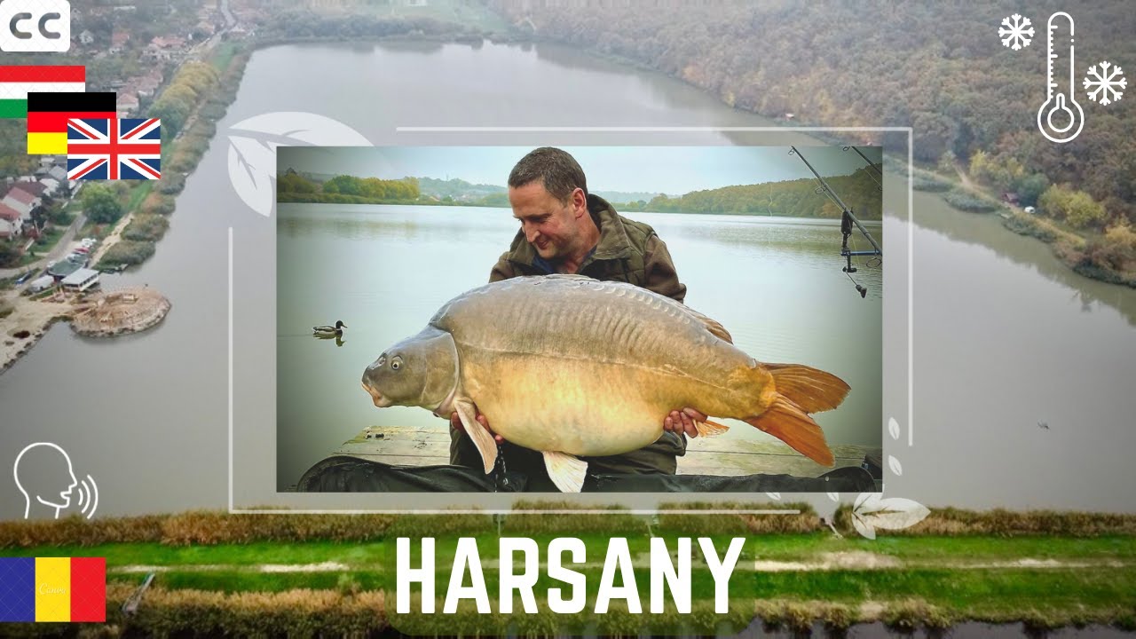 Pescuit de 96 de ore la HARSAHY HorgaszTo: Crapi MARI și CAPTURI spectaculoase!