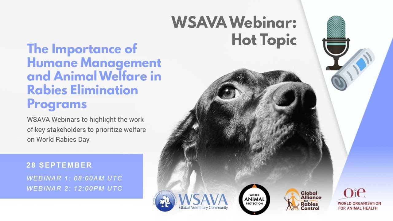 Part 1: The Importance of Humane Management and Animal Welfare in Rabies Elimination Program