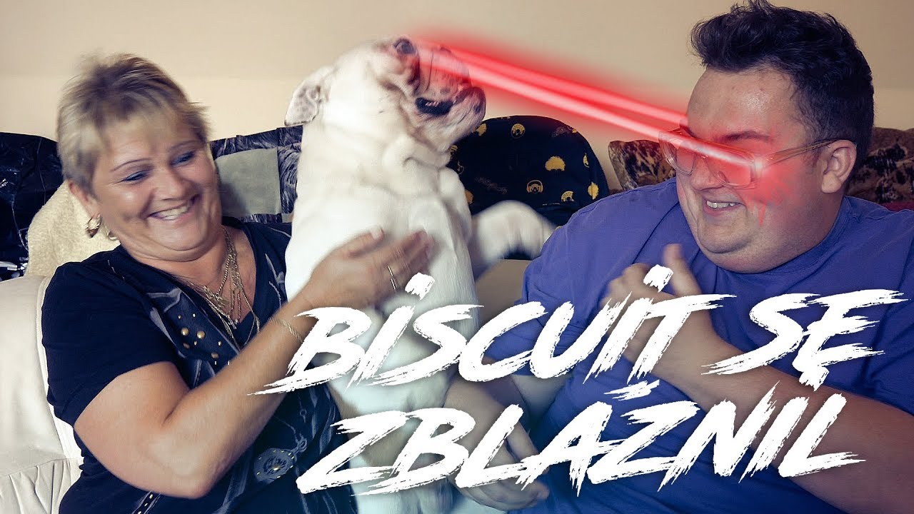 MÁMA NA MĚ POSLALA BISCUITA!!!