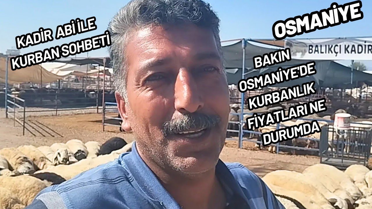 OSMANİYE KURBAN PAZARI. KADİR ABİ İLE KURBAN ÜZERİNE SOHBET ETTİK #hayvanpazari #kurbanlıkfiyatları
