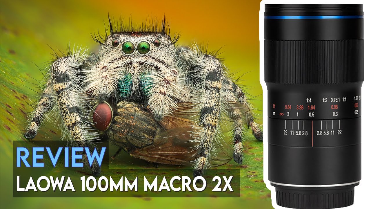 My PERSONAL EXPERIENCE Using The LAOWA 100mm f/2.8 2x Ultra Macro Lens | REVIEW