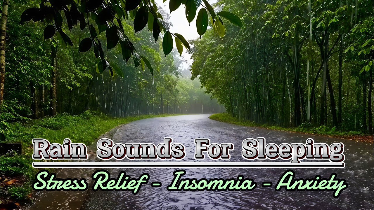 Listen to the Rain on the Forest Asphalt | Relaxing Rain Sounds in the Woods, Stress Relief, Anxiety