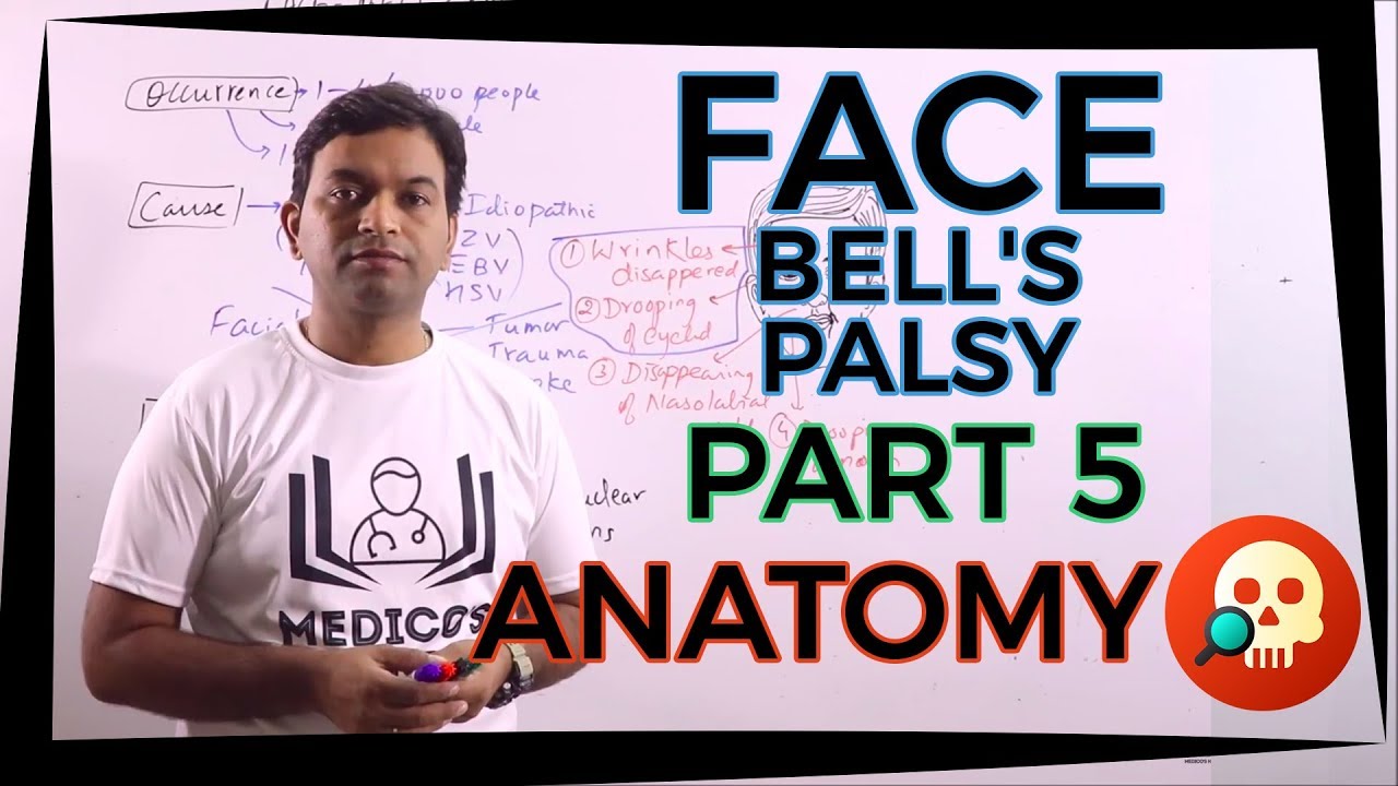 ANA.HNB.043: Face Part 5 - Bell's Palsy | Anatomy | Dr. Prashant Sharma