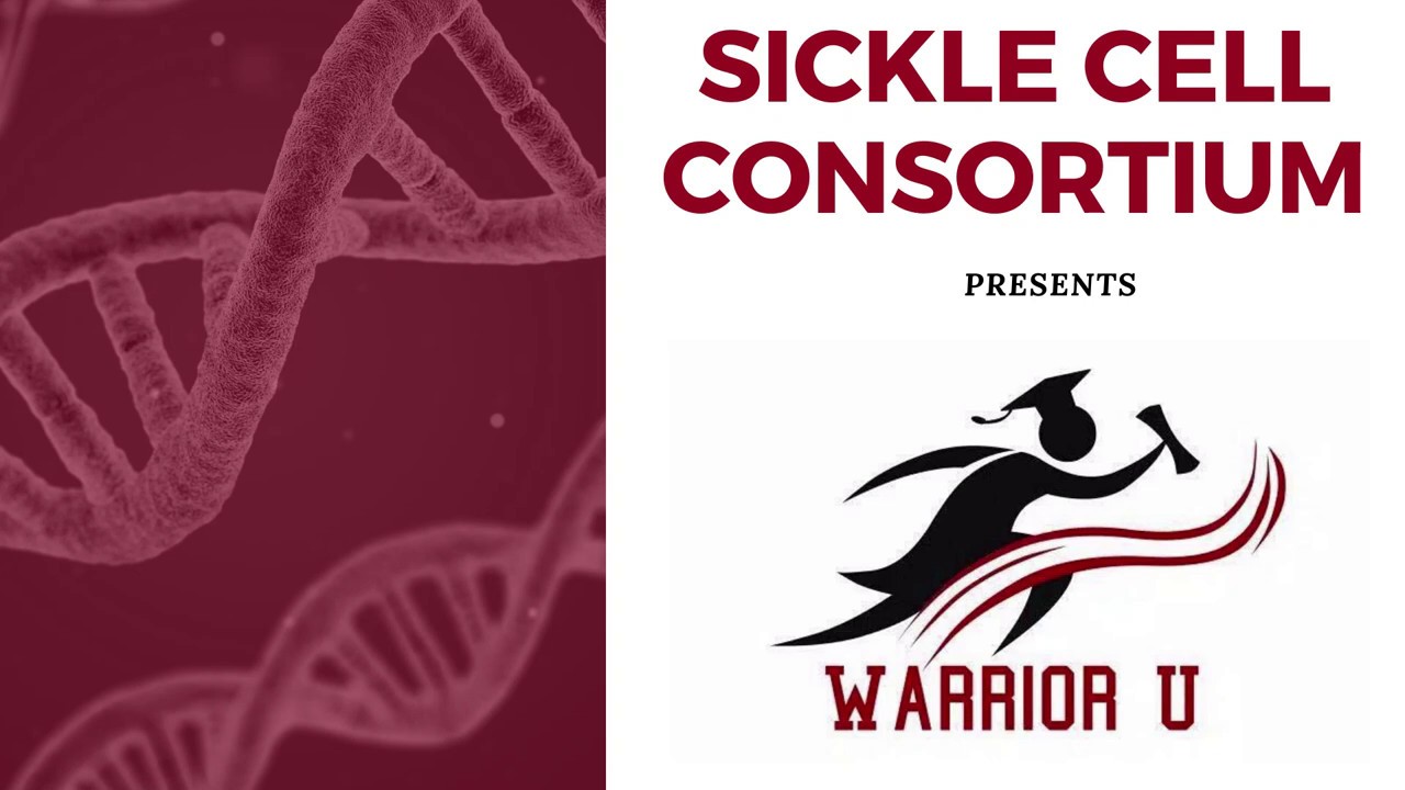Hydroxyurea and Sickle Cell Disease: A HRSA EMBRACE project