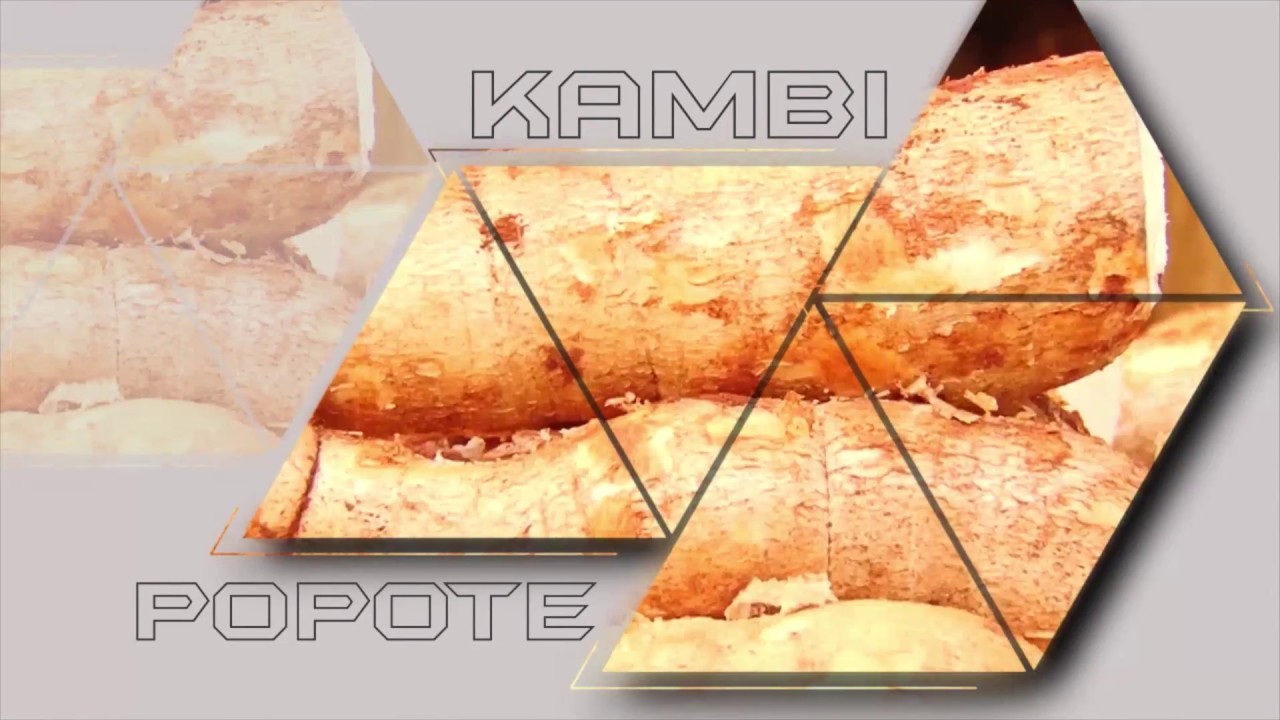 Utofauti kati watu wa kabila la wahaya na makabila mengine