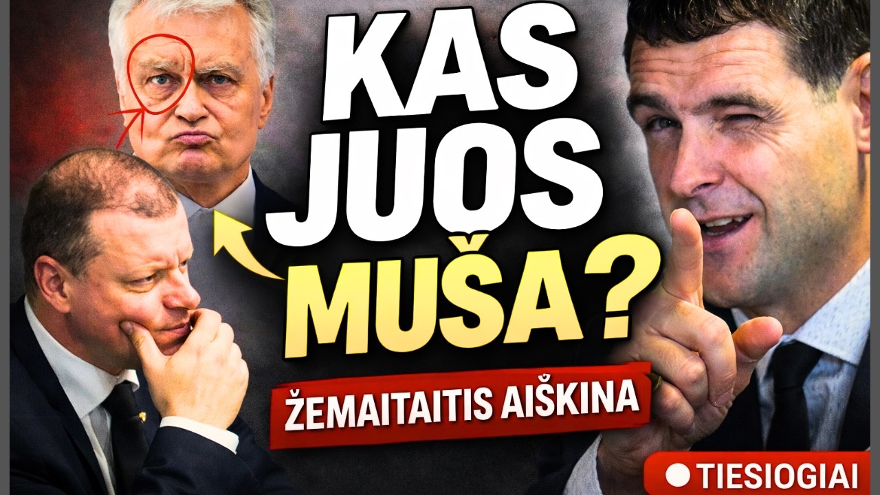 Kas daužo valdžią? Žemaitaitis žino, kas bus kitas TIESIOGIAI