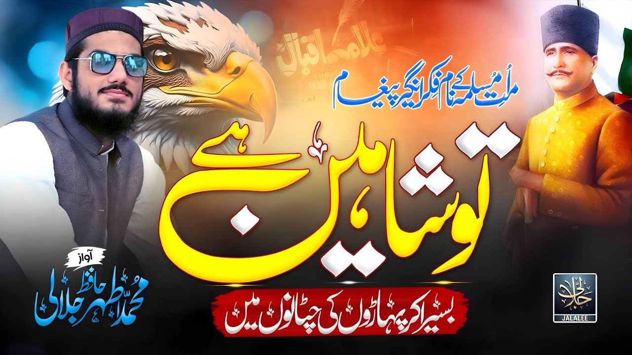 Super Hit Nasheed -  To Shaheen Hai - Muhammad Athar Jalali - jalaleesofficial