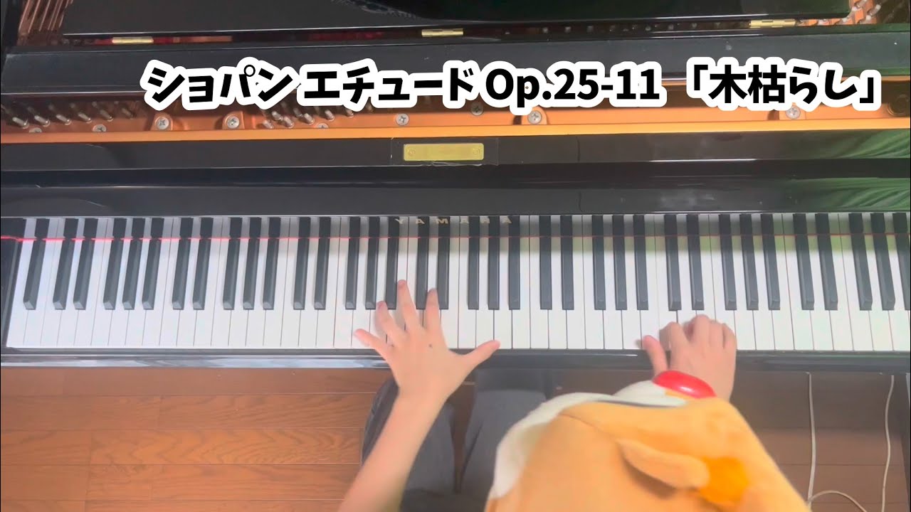 ショパン エチュード集 第11番 「木枯らし」 Op.25-11 イ短調/Chopin, Frederic : 12 études　Etude No.11 a-moll Op.25-11
