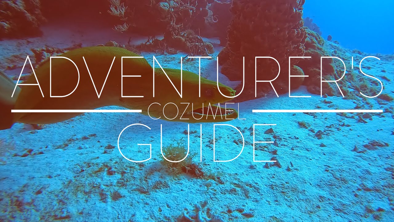 Adventurer's Guide to Scuba Diving Cozumel, Mexico