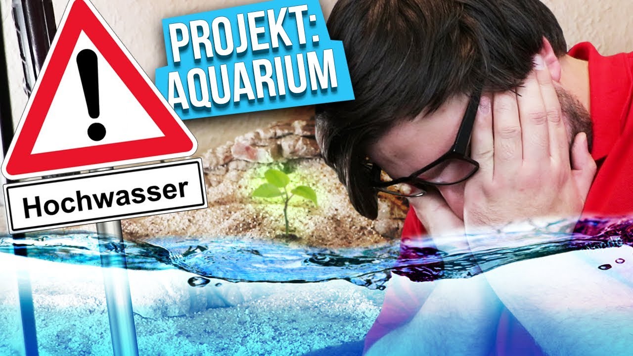 &Uuml;berflutungsgefahr! - Projekt: Aquarium