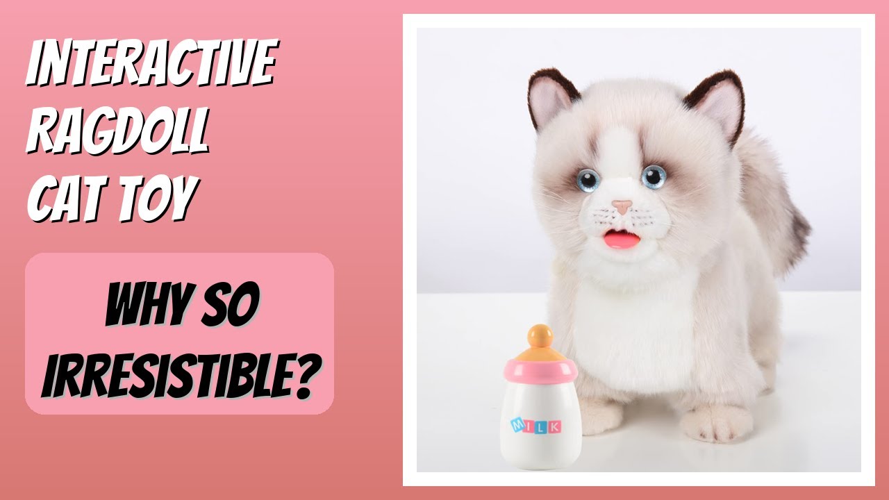 REVIEW (2026): Interactive Ragdoll Cat Toy. Features