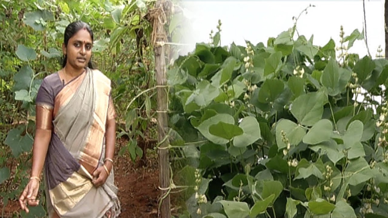 கடைகளின் நாங்கள் எந்த பொருட்களையும் வாங்குவதில்லை...| Malarum Bhoomi