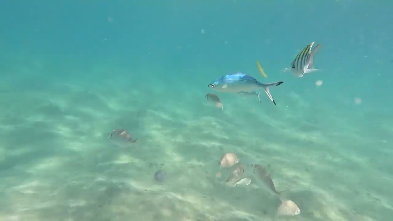 Aurora Bay Resort Marsa Alam