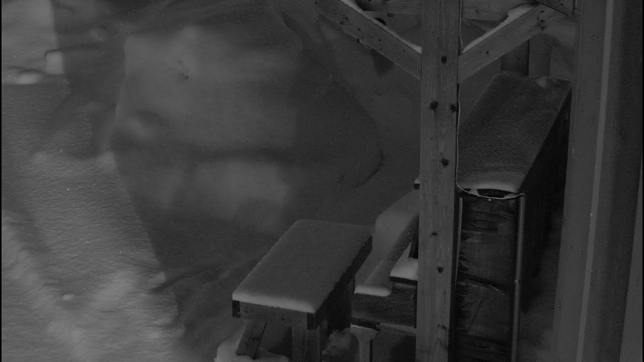 The Decomposing Piano Webcam