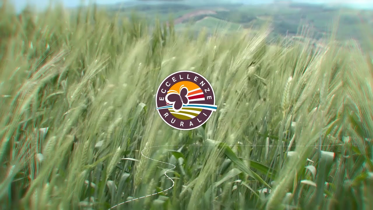 Eccellenze Rurali :: Azienda Agricola Pieraccini