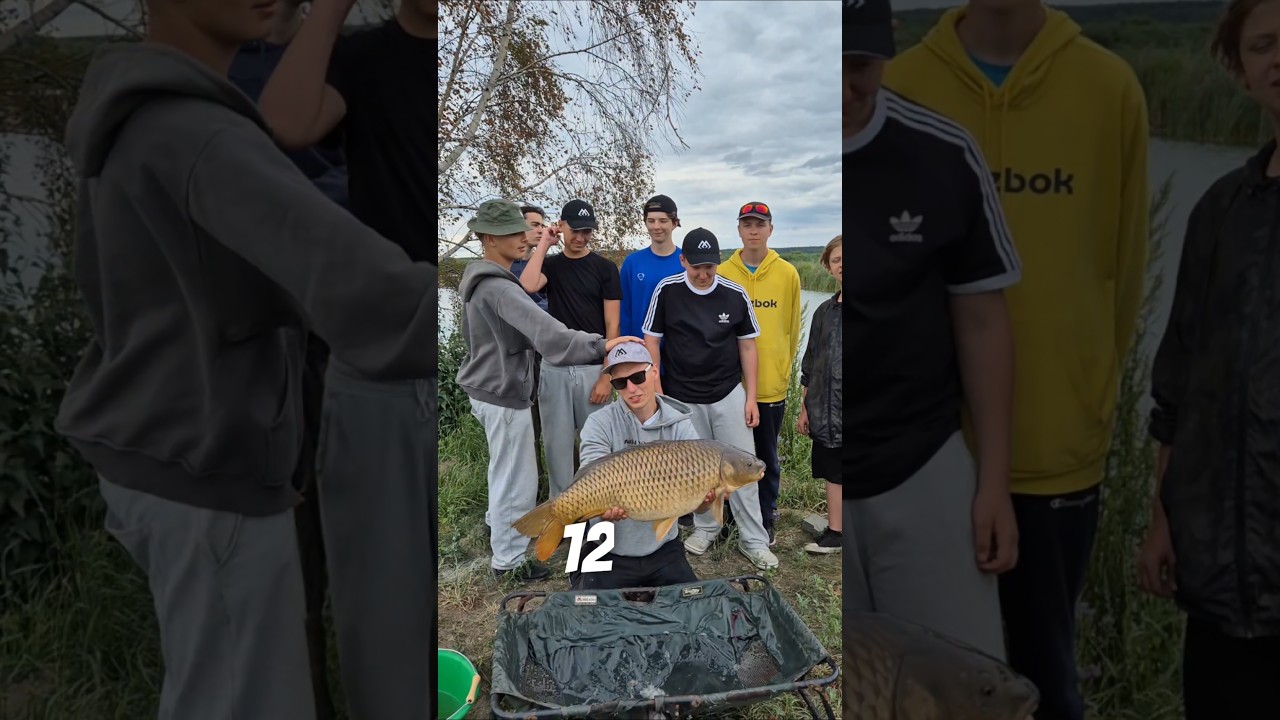 karpie na obozie wędkarskim #short #fishingcamp #camp #summer #hobby #fishing