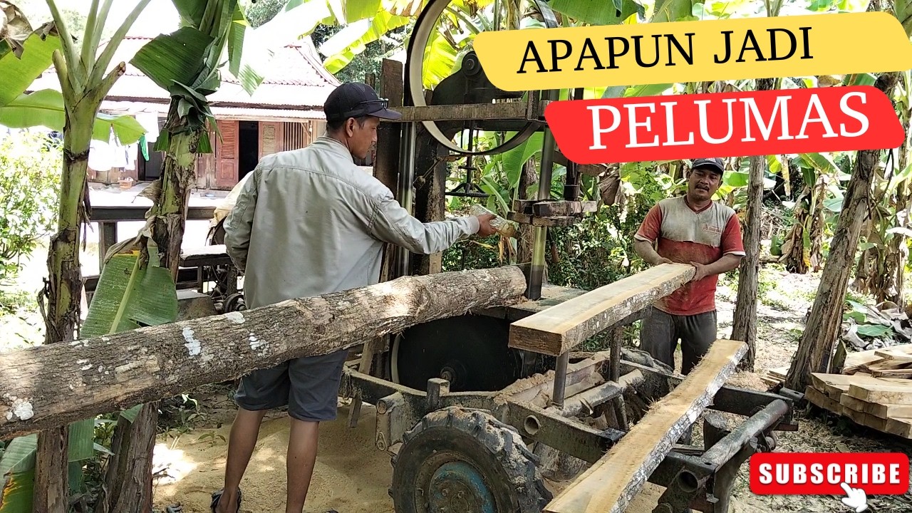 pelumas gergaji pita