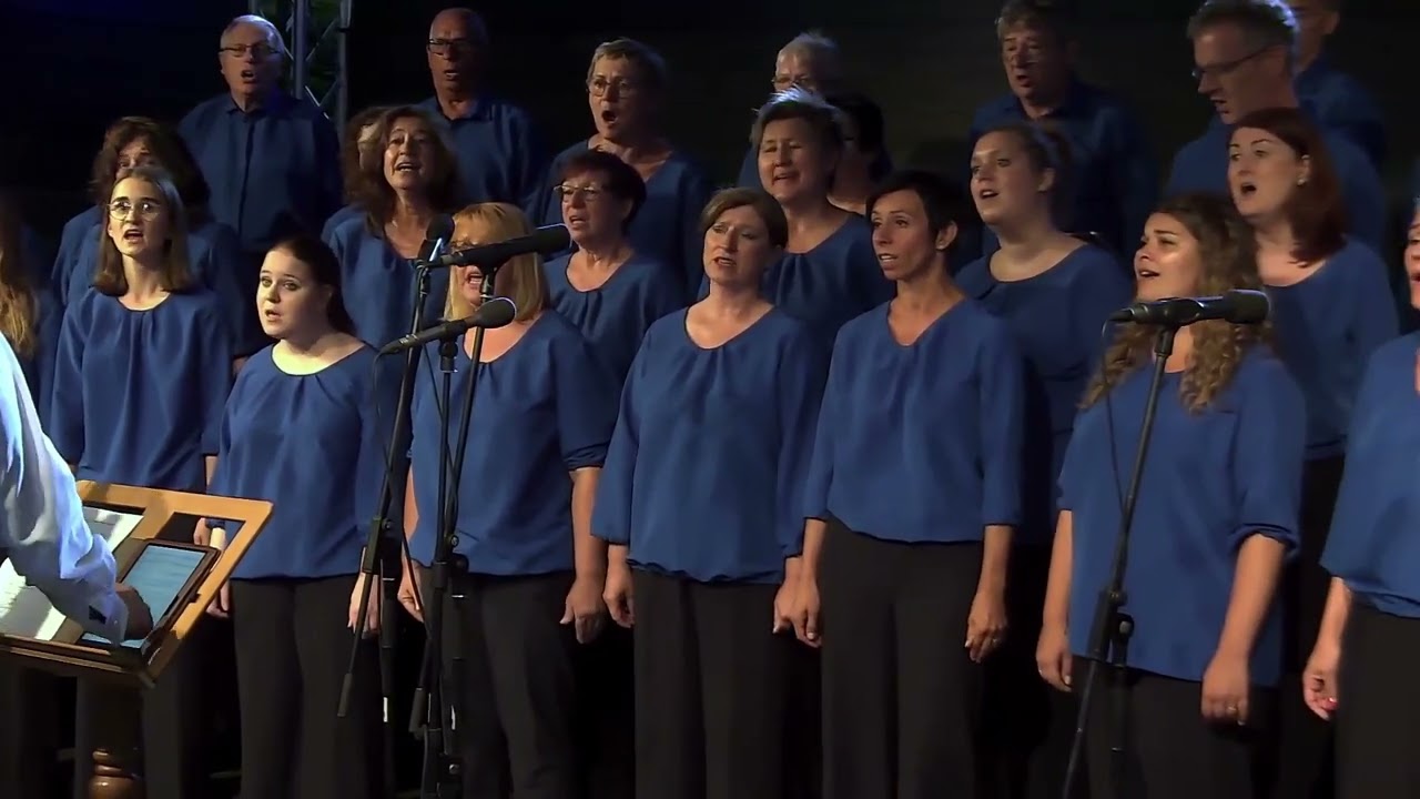 Wir ziehen in den Frieden