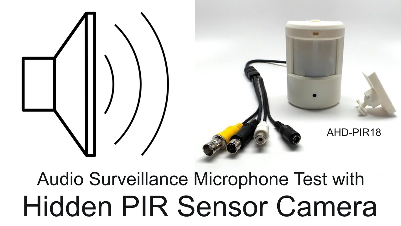 Audio Surveillance Microphone Demo using Motion Detector Security Camera