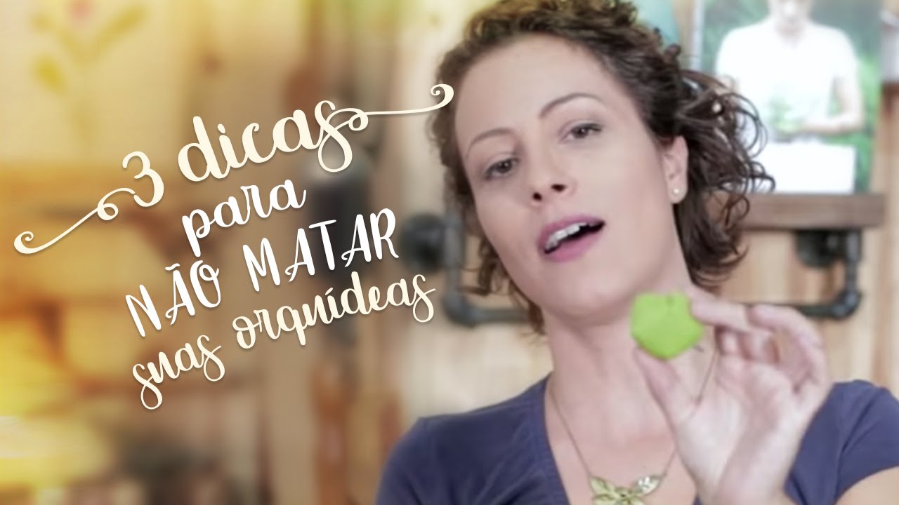 Não MATE mais ORQUÍDEAS: ponha estas 3 dicas em prática HOJE