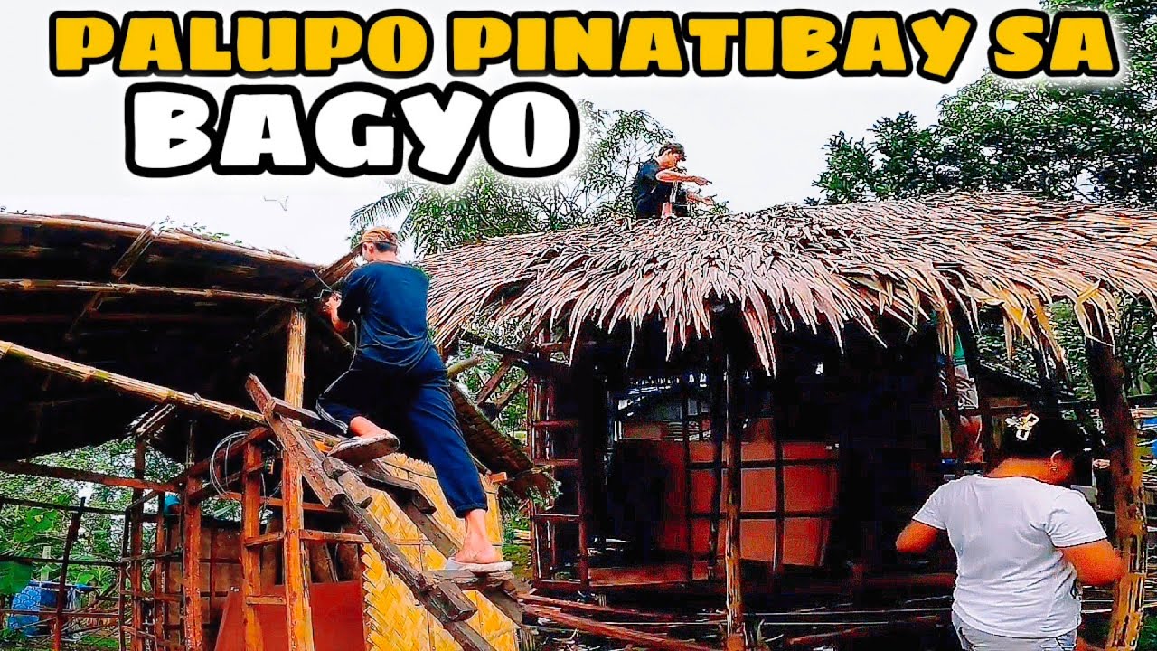 PAG LAGAY NG PALUPO SA BUBONG NG AMING KUBO