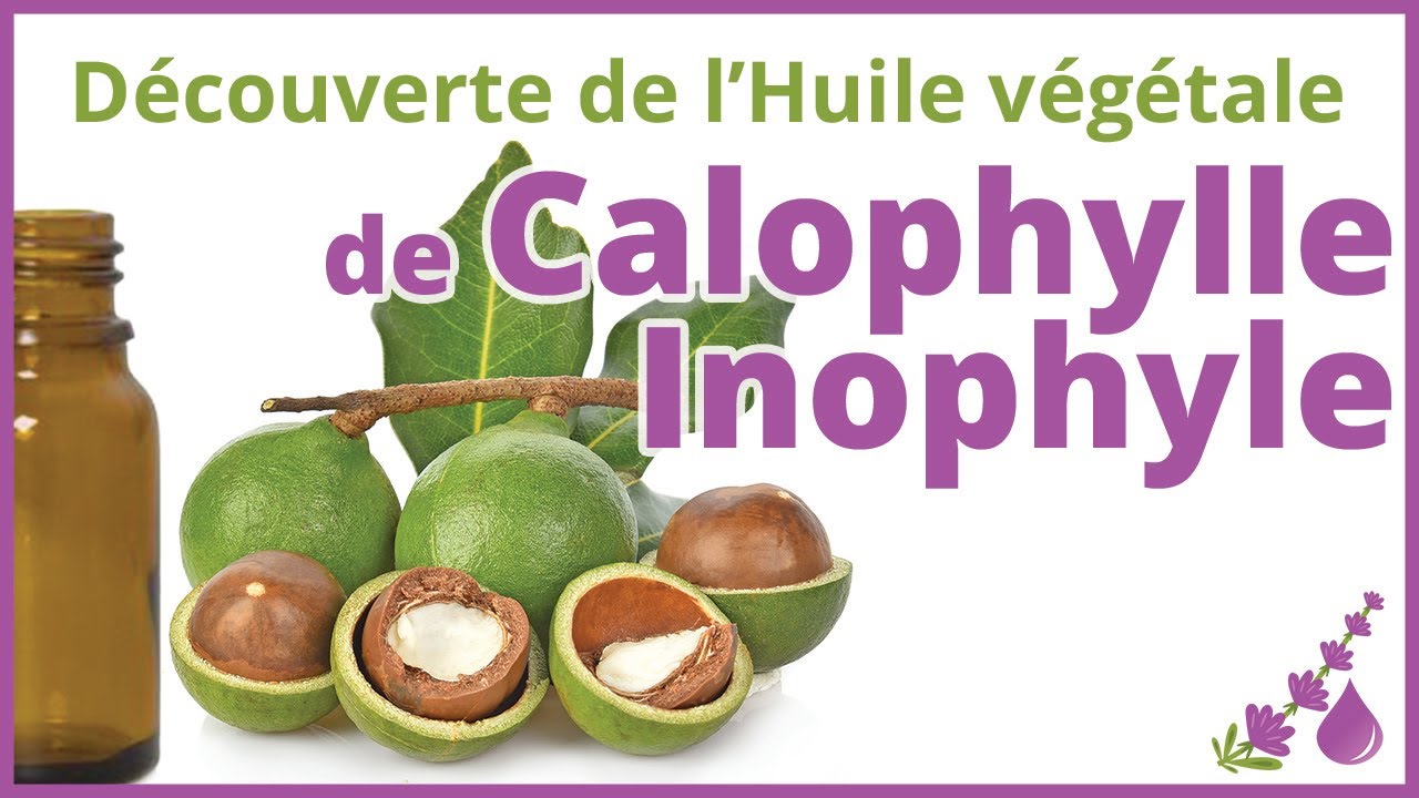 Calophylle Inophyle - Huile végétale anti-inflammatoire- Dr Françoise Couic Marinier