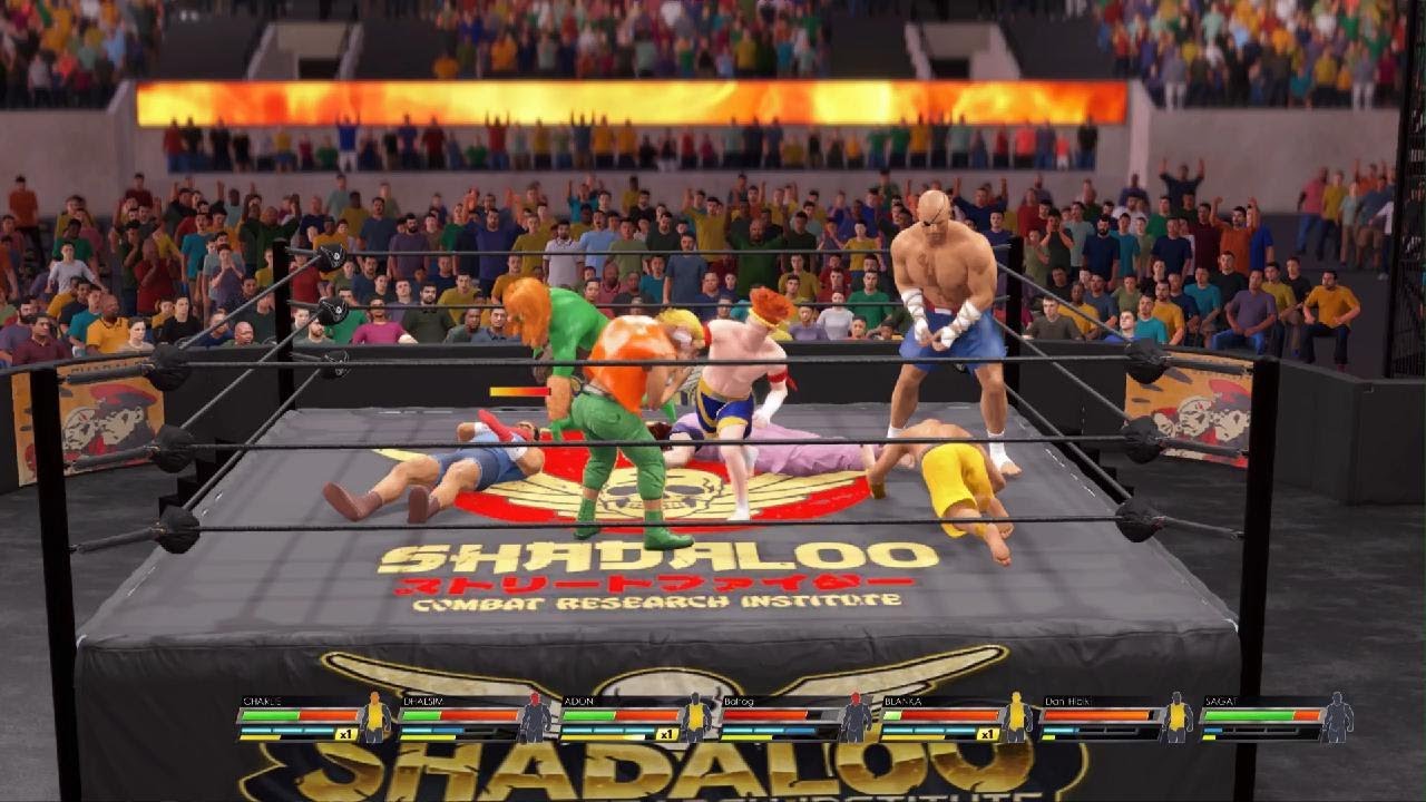 The Ultimate Street Fighter Royal Rumble Who Will be the Street Fighter Champion