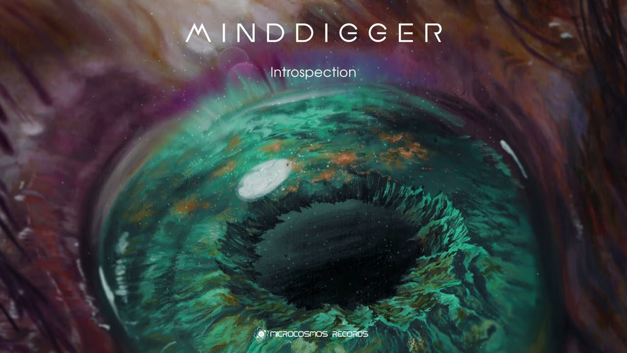 Minddigger &mdash; Introspection