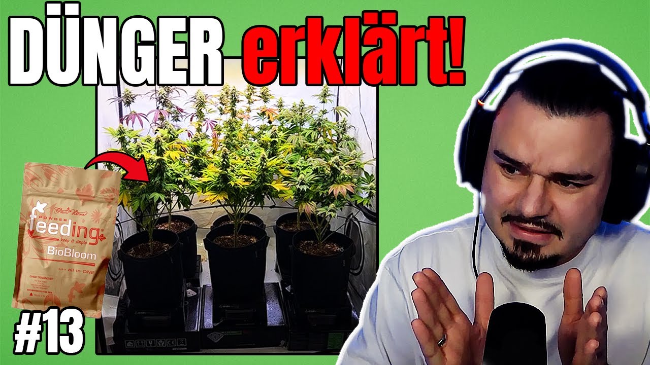 ENDLICH verstanden! 💧 Welchen D&uuml;nger ich nutze & was dabei wichtig ist | Grow Tagebuch #13