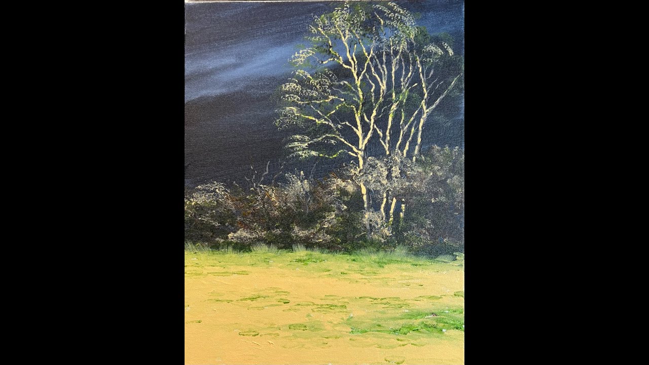 Sunlit Tree  Against a VERY dark sky.