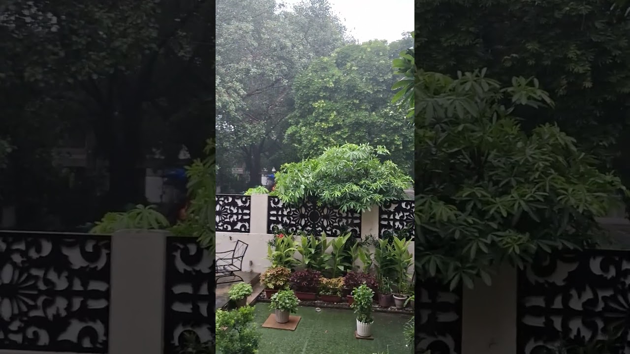 Delhi Rainstorm