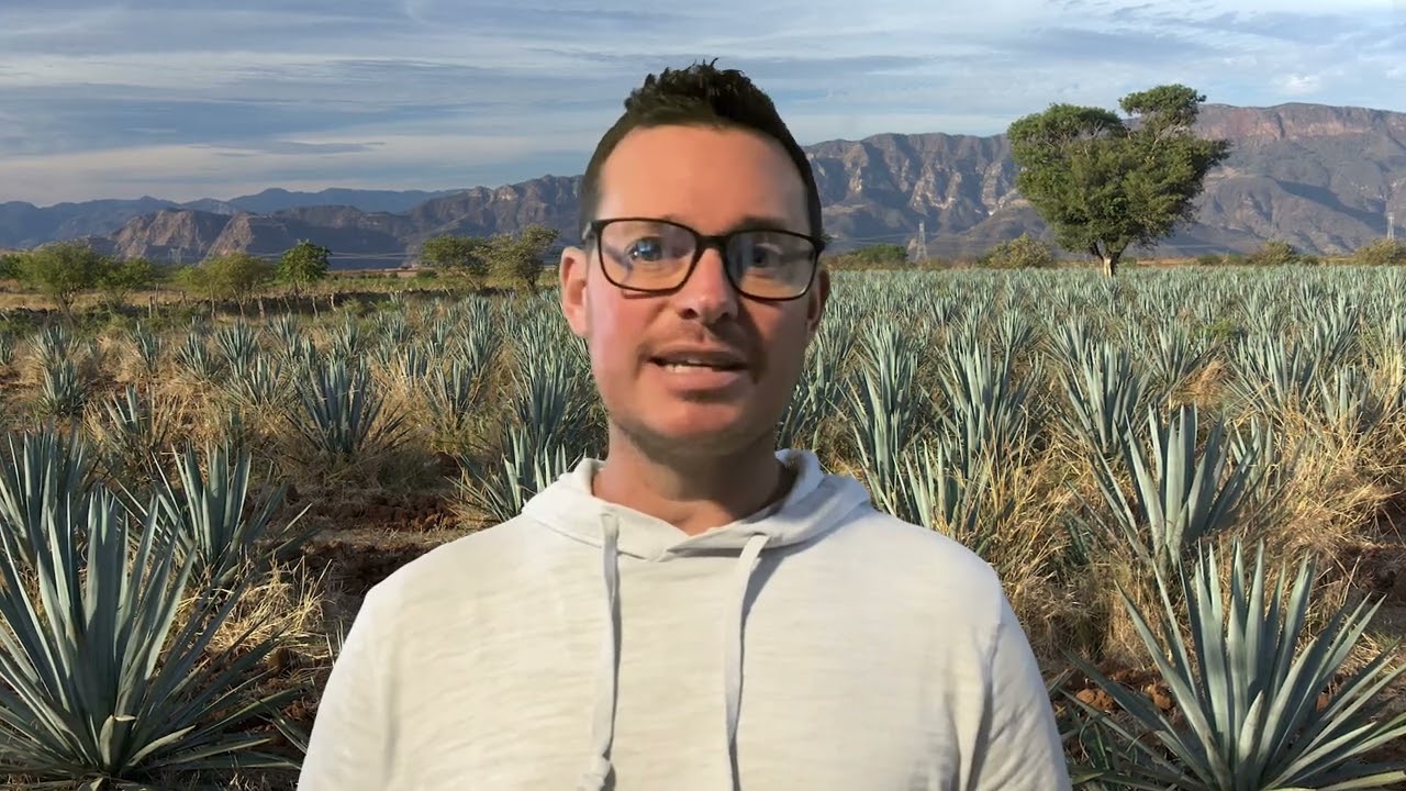 Tequila & Booze Industry Trends in Review for 2023 and Predictions for 2024