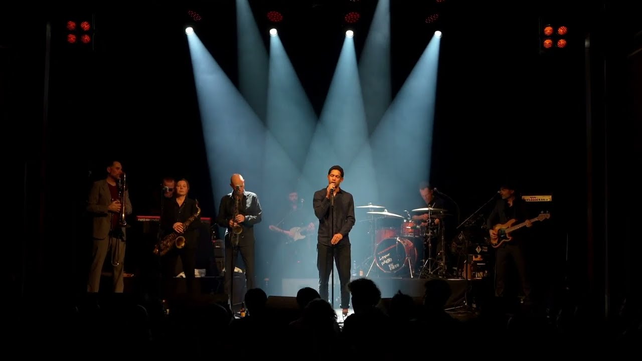 The James Brown Tribute Show by SoulVision Allstars - Live Trailer 2023