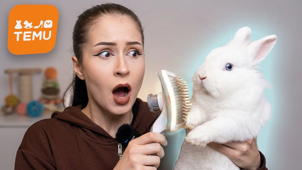 Sú Toto NAJHORŠIE TEMU VYCHYTÁVKY!?