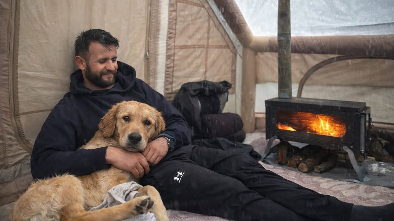 Solo Camping in Heavy Rain with My Dog (Relaxing ASMR)