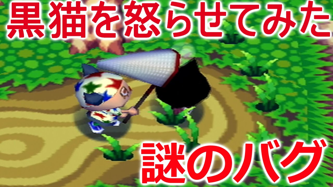 【どうぶつの森e+】１番致命的なバグ！黒猫を怒らせてみた【PART60】