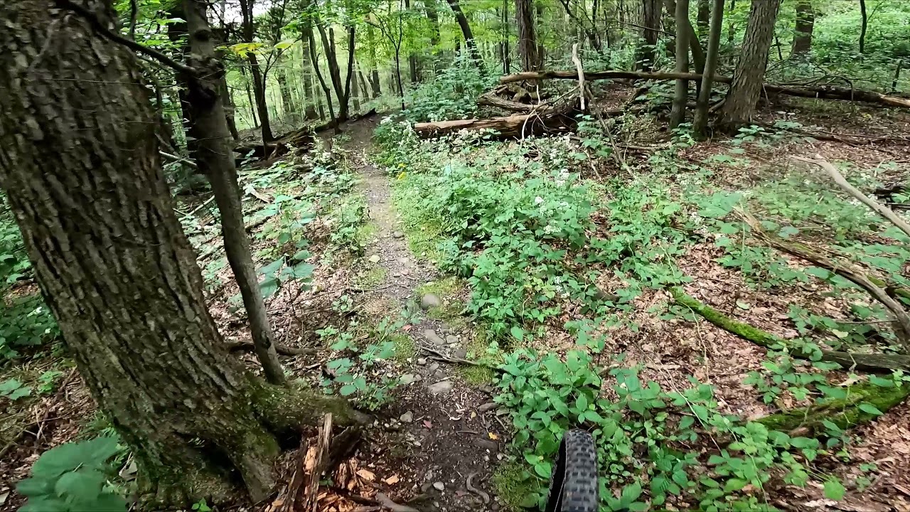 Ontario County Park at Gannett Hill - Black Trail