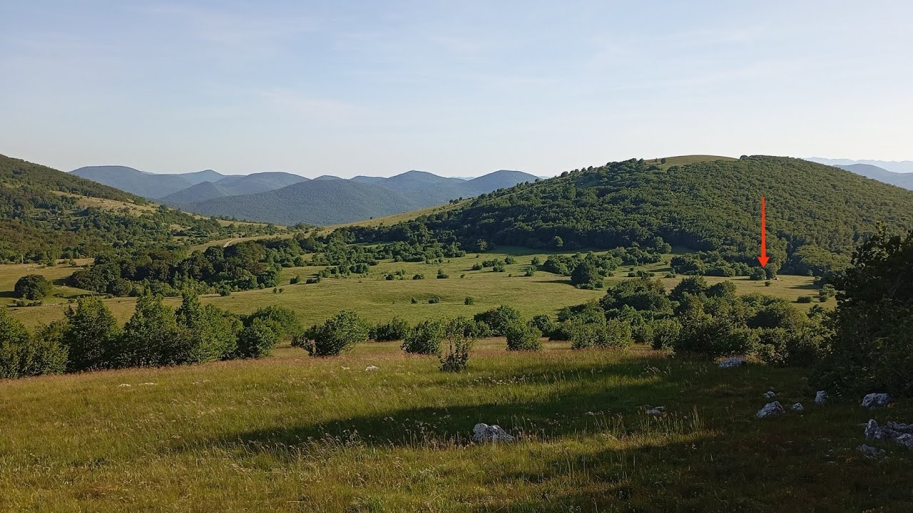 Življenje s kravami - pod črto 2. del