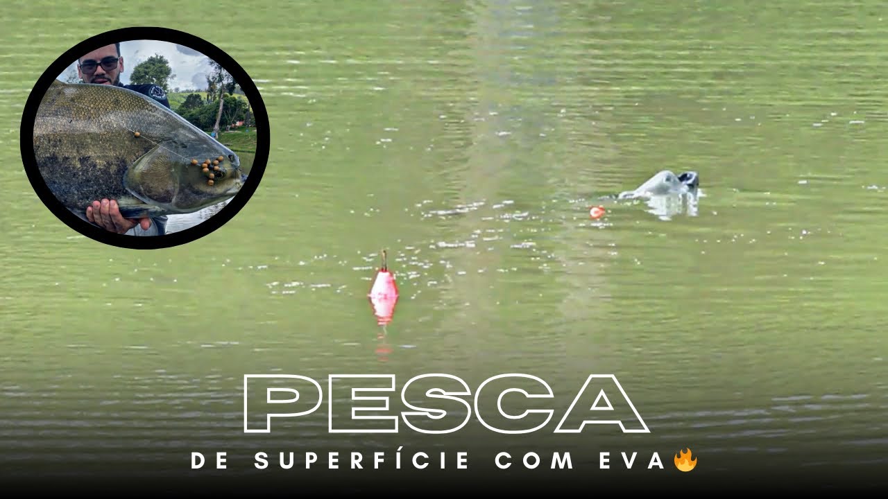 TUDO O QUE VOCÊ PRECISA SABER SOBRE A PESCA DE EVA!