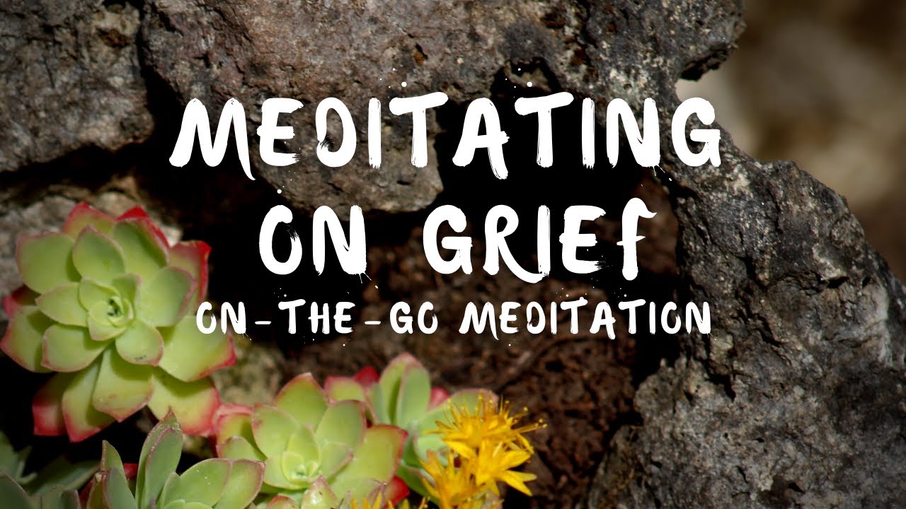 Meditating on Grief | On-The-Go Meditation Guided by Brother Phap Huu
