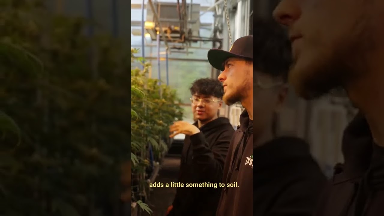Is Indoor Flower Better Than Mix Light? With Erick Khan