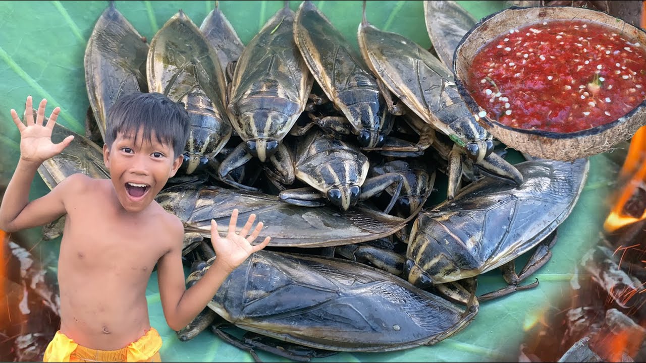 Decko streams, chapter: Primitive Foodie KH #026 Catching & Cooking Giant Water Bugs